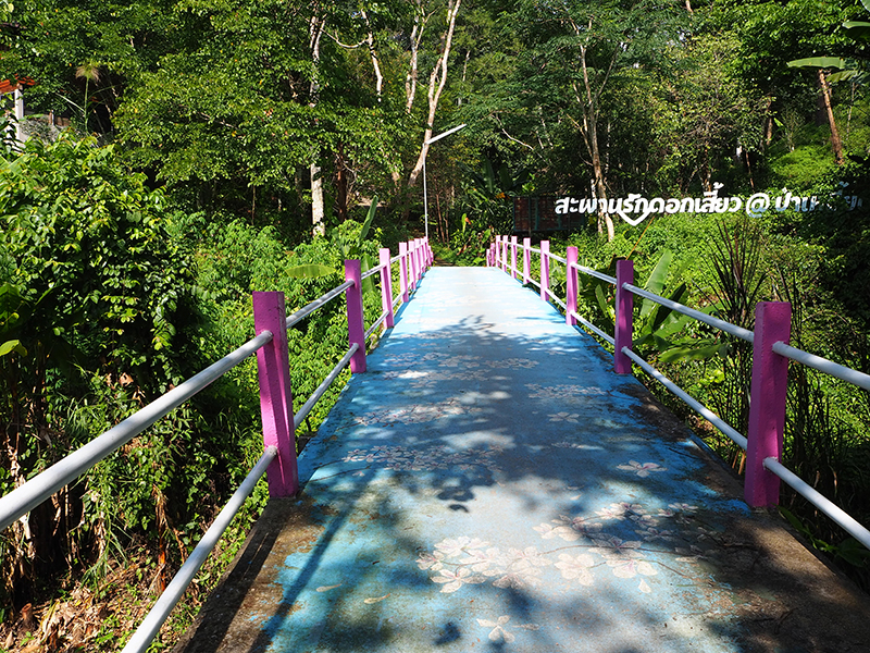 สะพานรักดอกเสี้ยว @ป่าเหมี้ยง