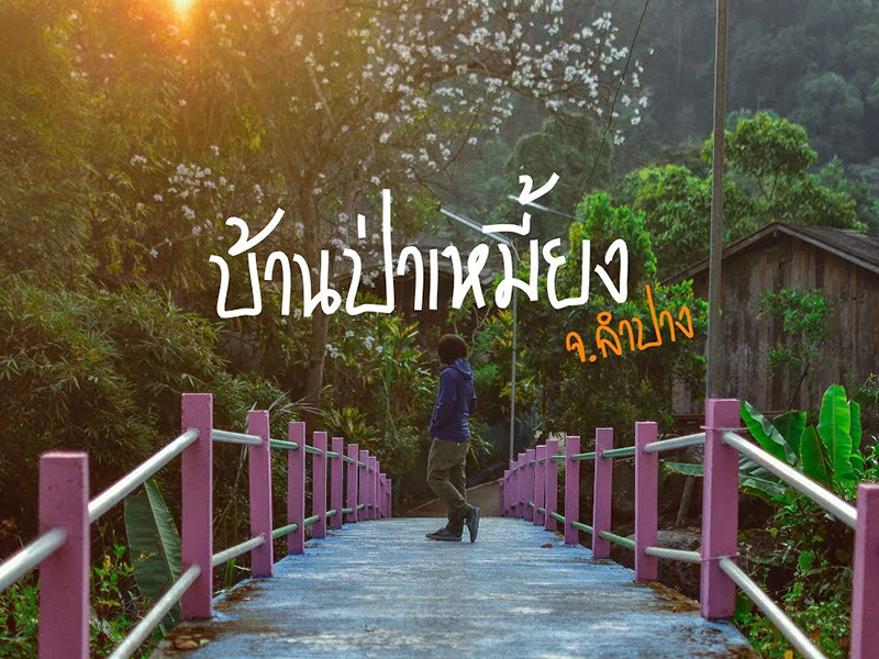 บ้านป่าเหมี้ยง จังหวัดลำปาง (ไม่กี่บาท [Studio]) – มีคลิป