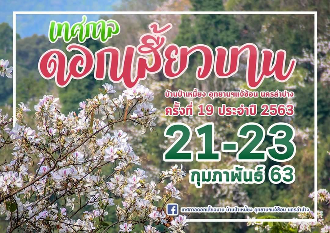 เทศกาลดอกเสี้ยวบาน ป่าเหมี้ยง ครั้งที่ 19 ประจำปี 2563